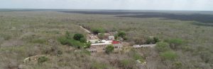 Reservorios de la biodiversidad de Yucatán - Hola Tulum
