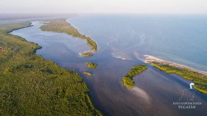 Reservorios de la biodiversidad de Yucatán - Hola Tulum