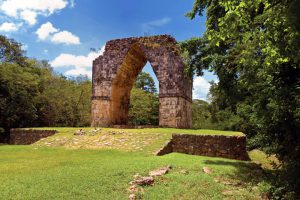 Reservorios de la biodiversidad de Yucatán - Hola Tulum