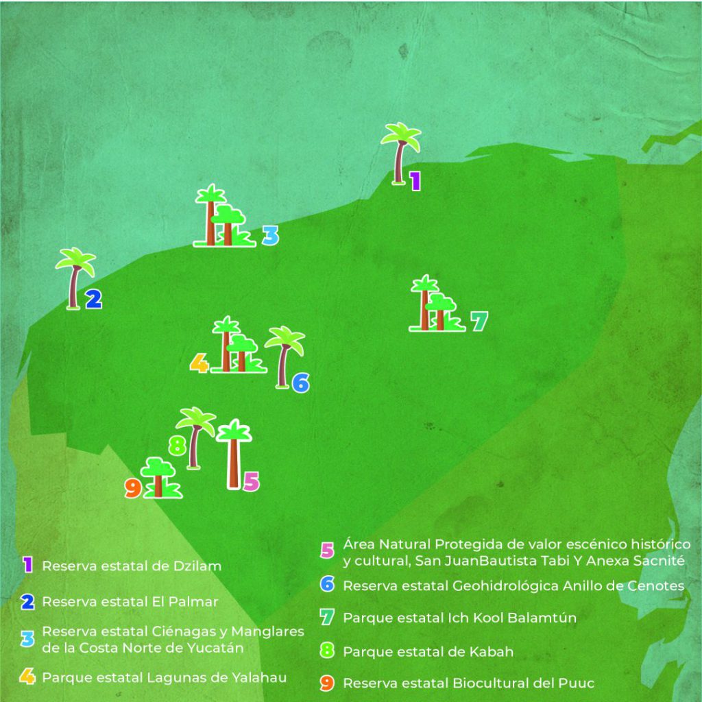 Reservorios de la biodiversidad de Yucatán - Hola Tulum