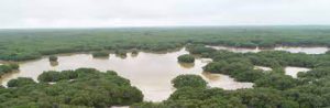 Reservorios de la biodiversidad de Yucatán - Hola Tulum
