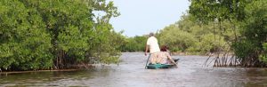 Reservorios de la biodiversidad de Yucatán - Hola Tulum