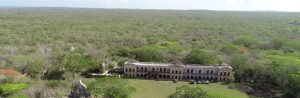 Reservorios de la biodiversidad de Yucatán - Hola Tulum