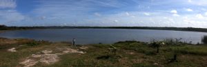 Reservorios de la biodiversidad de Yucatán - Hola Tulum