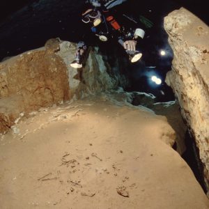La megafauna de la Era de Hielo que se ha encontrado en Quintana Roo ha aparecido muy adentro de las cuevas inundadas y pertenece cronológicamente al Pleistoceno tardío llamado Tarantiense. Sus límites cronométricos se sitúan entre 126 mil y 11 mil años antes del Presente. Los restos fósiles estudiados de distintas especies (que han sido analizados por los métodos de radio carbono 14 y series de Uranio-Torio) han arrojado edades que van desde los 40 mil a los 9500 años antes del Presente, estas edades encajan dentro de la denominada paleontológicamente como fauna Rancholabreana.