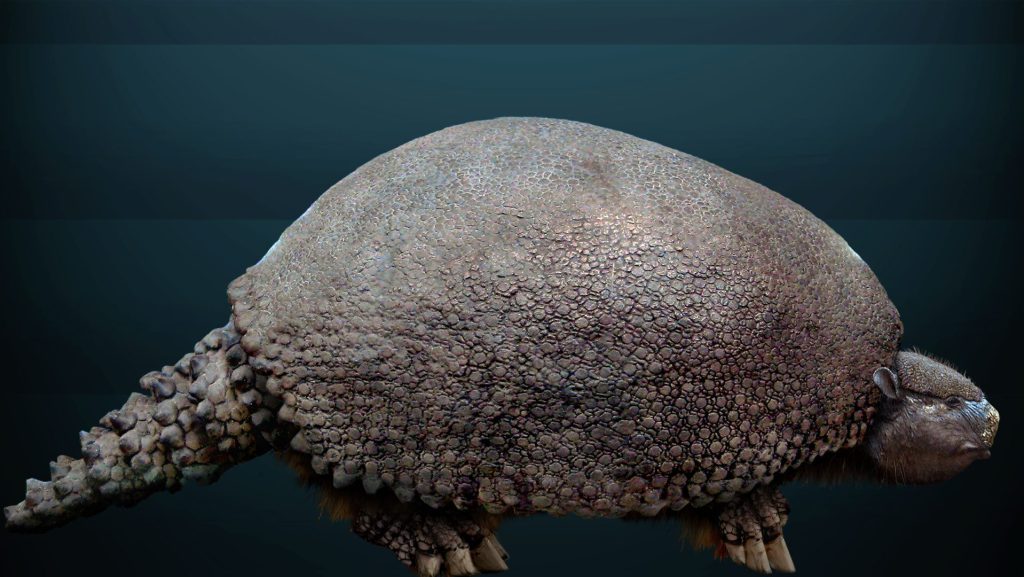 La megafauna de la Era de Hielo que se ha encontrado en Quintana Roo ha aparecido muy adentro de las cuevas inundadas y pertenece cronológicamente al Pleistoceno tardío llamado Tarantiense. Sus límites cronométricos se sitúan entre 126 mil y 11 mil años antes del Presente. Los restos fósiles estudiados de distintas especies (que han sido analizados por los métodos de radio carbono 14 y series de Uranio-Torio) han arrojado edades que van desde los 40 mil a los 9500 años antes del Presente, estas edades encajan dentro de la denominada paleontológicamente como fauna Rancholabreana.