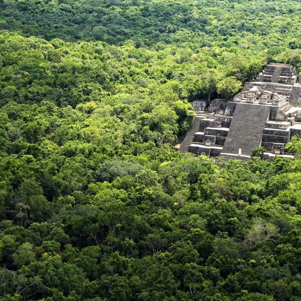 Urbanismo prehispánico en Calakmul - Hola Tulum