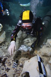 La megafauna de la Era de Hielo que se ha encontrado en Quintana Roo ha aparecido muy adentro de las cuevas inundadas y pertenece cronológicamente al Pleistoceno tardío llamado Tarantiense. Sus límites cronométricos se sitúan entre 126 mil y 11 mil años antes del Presente. Los restos fósiles estudiados de distintas especies (que han sido analizados por los métodos de radio carbono 14 y series de Uranio-Torio) han arrojado edades que van desde los 40 mil a los 9500 años antes del Presente, estas edades encajan dentro de la denominada paleontológicamente como fauna Rancholabreana.