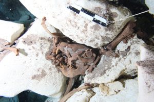 La megafauna de la Era de Hielo que se ha encontrado en Quintana Roo ha aparecido muy adentro de las cuevas inundadas y pertenece cronológicamente al Pleistoceno tardío llamado Tarantiense. Sus límites cronométricos se sitúan entre 126 mil y 11 mil años antes del Presente. Los restos fósiles estudiados de distintas especies (que han sido analizados por los métodos de radio carbono 14 y series de Uranio-Torio) han arrojado edades que van desde los 40 mil a los 9500 años antes del Presente, estas edades encajan dentro de la denominada paleontológicamente como fauna Rancholabreana.