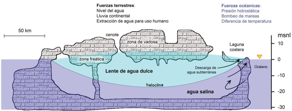 ¿Cómo se formaron cuevas y cenotes? - Hola Tulum