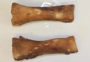La megafauna de la Era de Hielo que se ha encontrado en Quintana Roo ha aparecido muy adentro de las cuevas inundadas y pertenece cronológicamente al Pleistoceno tardío llamado Tarantiense. Sus límites cronométricos se sitúan entre 126 mil y 11 mil años antes del Presente. Los restos fósiles estudiados de distintas especies (que han sido analizados por los métodos de radio carbono 14 y series de Uranio-Torio) han arrojado edades que van desde los 40 mil a los 9500 años antes del Presente, estas edades encajan dentro de la denominada paleontológicamente como fauna Rancholabreana.