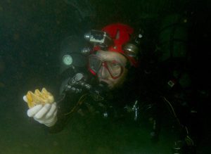 La megafauna de la Era de Hielo que se ha encontrado en Quintana Roo ha aparecido muy adentro de las cuevas inundadas y pertenece cronológicamente al Pleistoceno tardío llamado Tarantiense. Sus límites cronométricos se sitúan entre 126 mil y 11 mil años antes del Presente. Los restos fósiles estudiados de distintas especies (que han sido analizados por los métodos de radio carbono 14 y series de Uranio-Torio) han arrojado edades que van desde los 40 mil a los 9500 años antes del Presente, estas edades encajan dentro de la denominada paleontológicamente como fauna Rancholabreana.