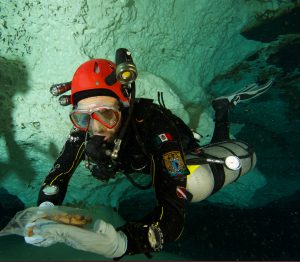 La megafauna de la Era de Hielo que se ha encontrado en Quintana Roo ha aparecido muy adentro de las cuevas inundadas y pertenece cronológicamente al Pleistoceno tardío llamado Tarantiense. Sus límites cronométricos se sitúan entre 126 mil y 11 mil años antes del Presente. Los restos fósiles estudiados de distintas especies (que han sido analizados por los métodos de radio carbono 14 y series de Uranio-Torio) han arrojado edades que van desde los 40 mil a los 9500 años antes del Presente, estas edades encajan dentro de la denominada paleontológicamente como fauna Rancholabreana.