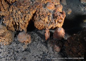 La megafauna de la Era de Hielo que se ha encontrado en Quintana Roo ha aparecido muy adentro de las cuevas inundadas y pertenece cronológicamente al Pleistoceno tardío llamado Tarantiense. Sus límites cronométricos se sitúan entre 126 mil y 11 mil años antes del Presente. Los restos fósiles estudiados de distintas especies (que han sido analizados por los métodos de radio carbono 14 y series de Uranio-Torio) han arrojado edades que van desde los 40 mil a los 9500 años antes del Presente, estas edades encajan dentro de la denominada paleontológicamente como fauna Rancholabreana.
