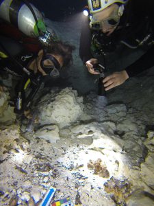 En el interior de los cenotes y cuevas del área de Tulum yacen vestigios que cuentan historias sobre algunos de nuestros antepasados más remotos, no solo de México, sino también del resto del continente americano. Fue en esta región de la península de Yucatán donde algunos de los primeros pobladores de América encontraron las condiciones ideales para la sobrevivencia de la especie y evolución de su cultura.