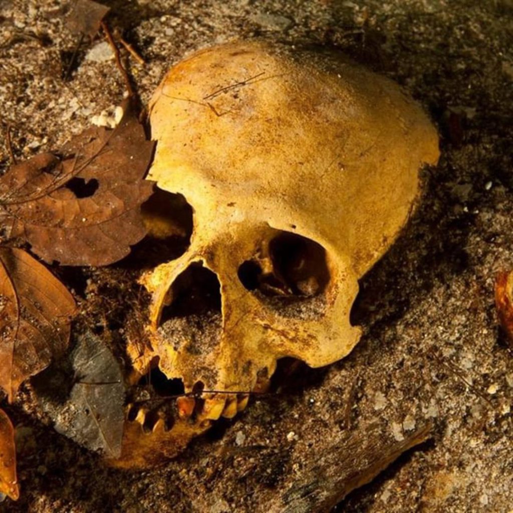 A lo largo de la historia, el desarrollo de las comunidades humanas y de las grandes civilizaciones ha estado estrechamente vinculado con el agua. Es por ello que no resulta extraño afirmar que las aguas subterráneas de la península de Yucatán fueron fundamentales para el desarrollo de las grandes ciudades mayas que florecieron en este territorio carente de ríos superficiales.