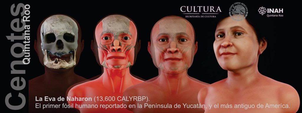 En el interior de los cenotes y cuevas del área de Tulum yacen vestigios que cuentan historias sobre algunos de nuestros antepasados más remotos, no solo de México, sino también del resto del continente americano. Fue en esta región de la península de Yucatán donde algunos de los primeros pobladores de América encontraron las condiciones ideales para la sobrevivencia de la especie y evolución de su cultura.