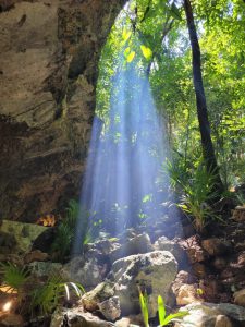 Mujeres Wellness - Hola Tulum