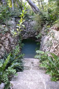 Despertará en Tulum la conciencia colectiva con «Zen Experience Tulum» - Hola Tulum