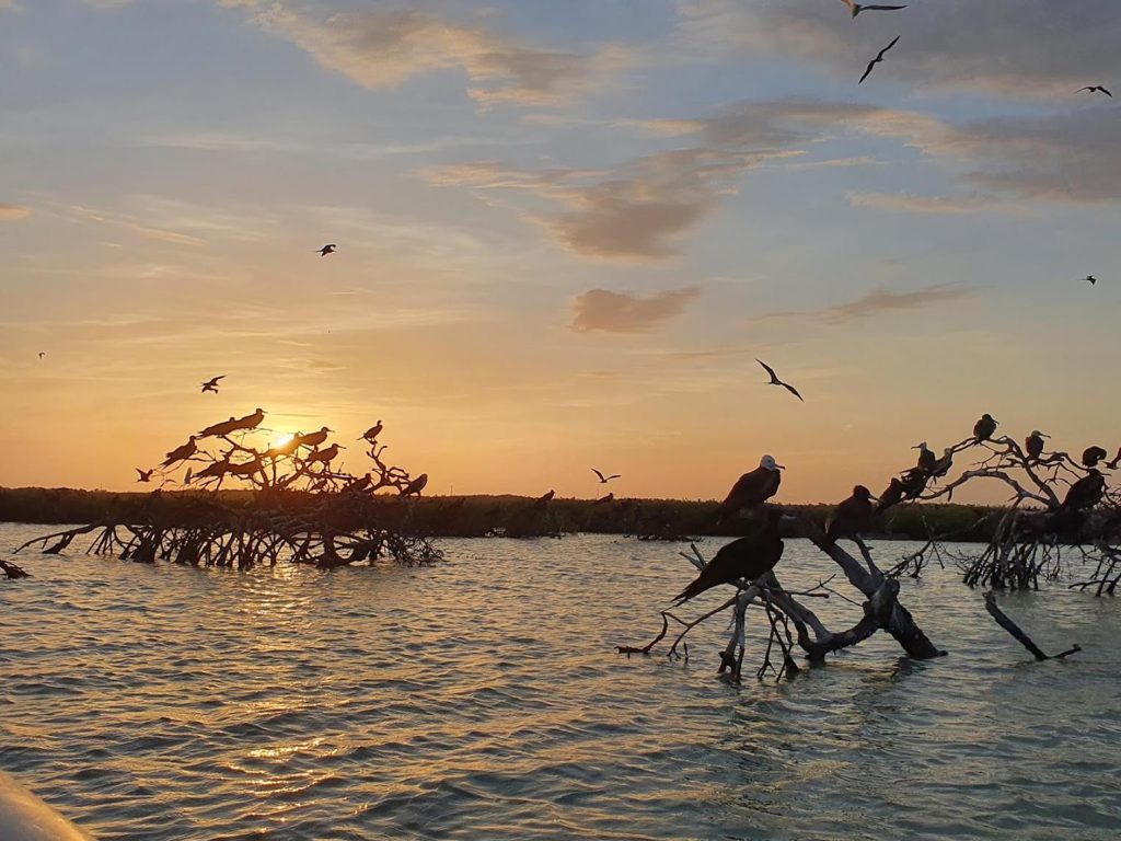 Su peculiar nombre proviene del hecho de que está rodeada tanto por el agua dulce de la Laguna de Términos como por el agua salada del Golfo de México. Es una Villa ubicada en la boca noreste de la Laguna de Términos y al suroeste de la capital del Estado de Campeche, desde donde puede llegarse en (aproximadamente) 90 minutos. Pertenece al Municipio de Carmen y se encuentra a 40 kilómetros de distancia de dicha ciudad.