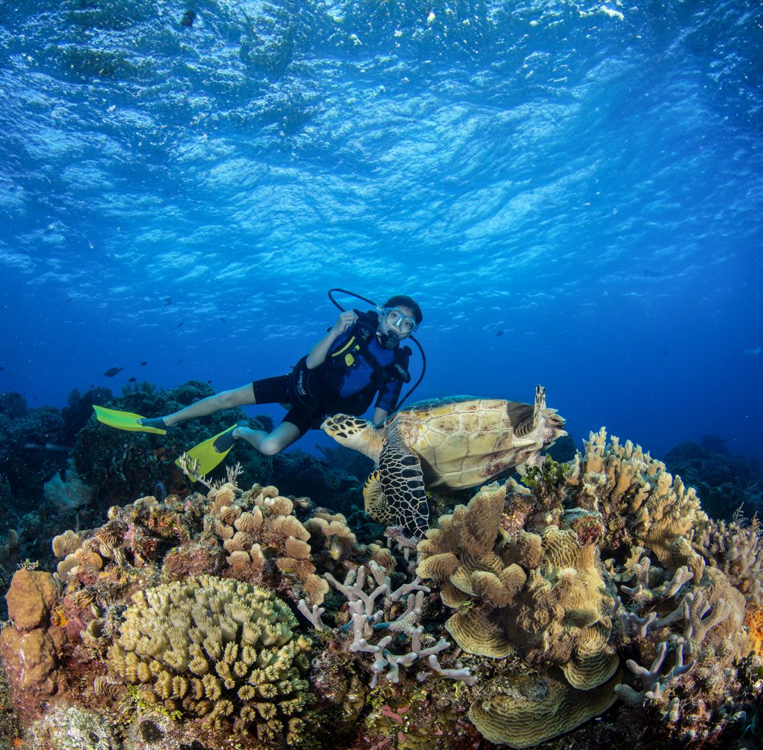 ¿Qué significa biodiversidad? Este concepto es muy amplio y puede tener diversas definiciones. La biodiversidad es el tejido vivo de nuestro planeta.