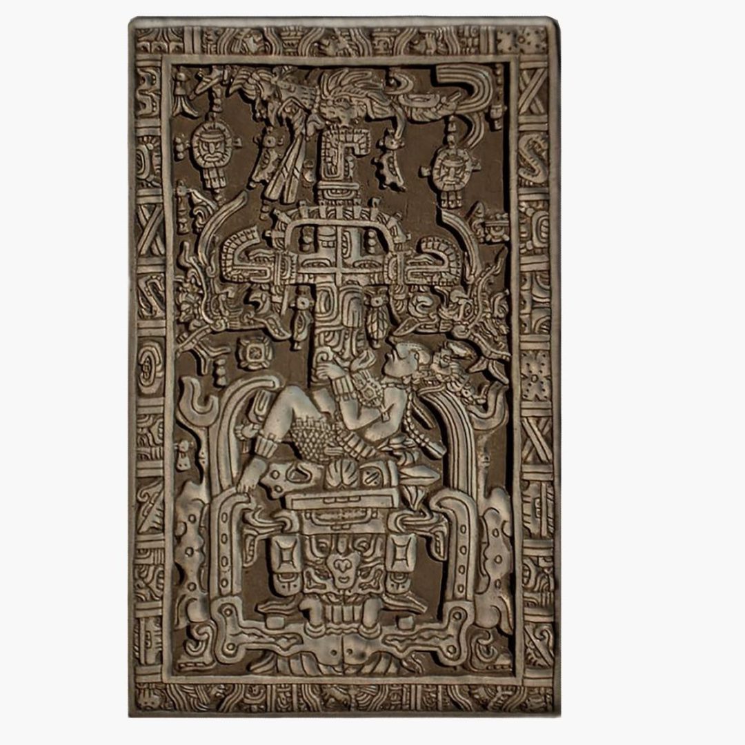Desde tiempos inmemoriales, la ceiba —yaxché en idioma maya— ha estado presente en la vida de los pueblos originarios de América.
