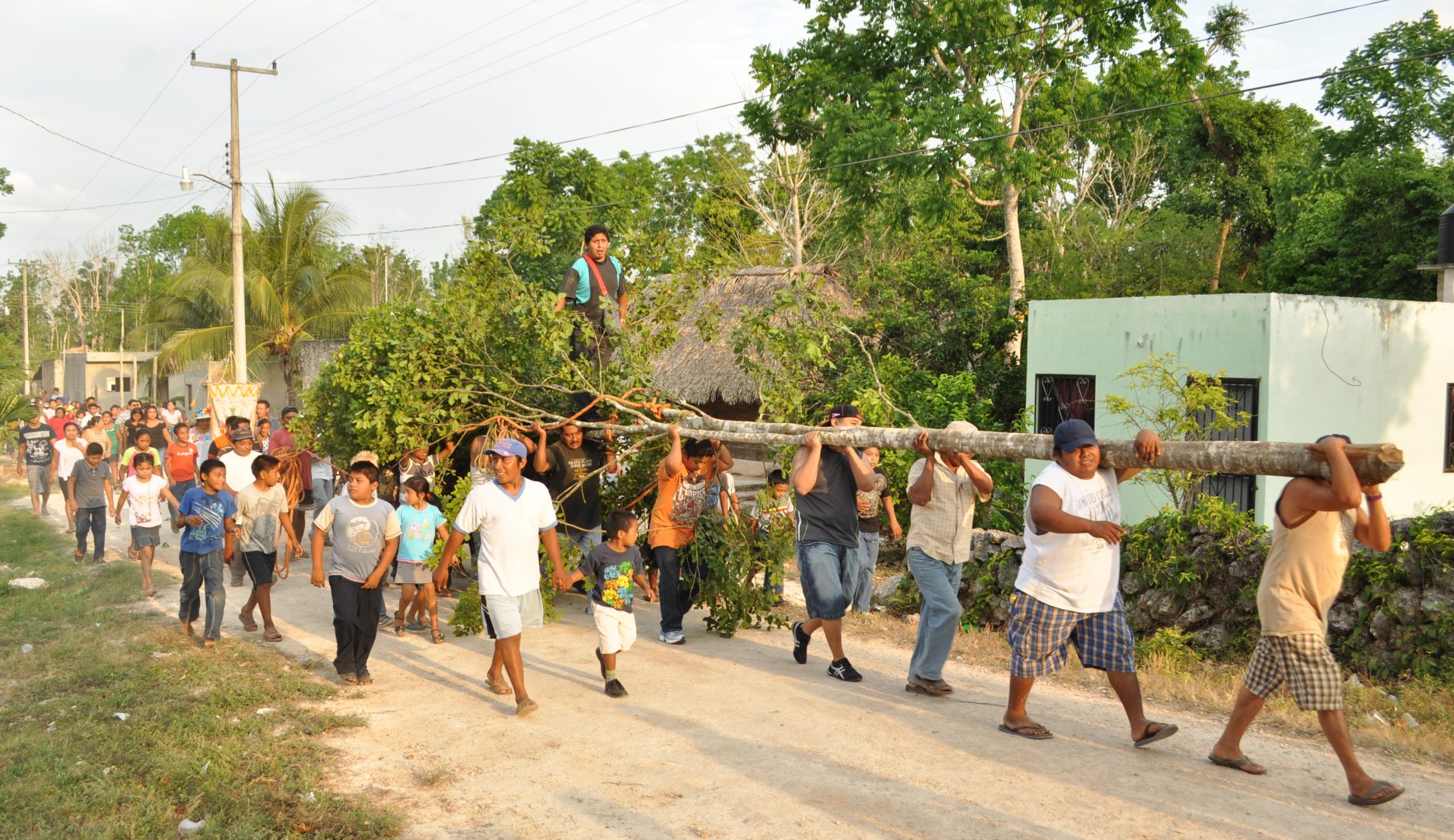 Desde tiempos inmemoriales, la ceiba —yaxché en idioma maya— ha estado presente en la vida de los pueblos originarios de América.