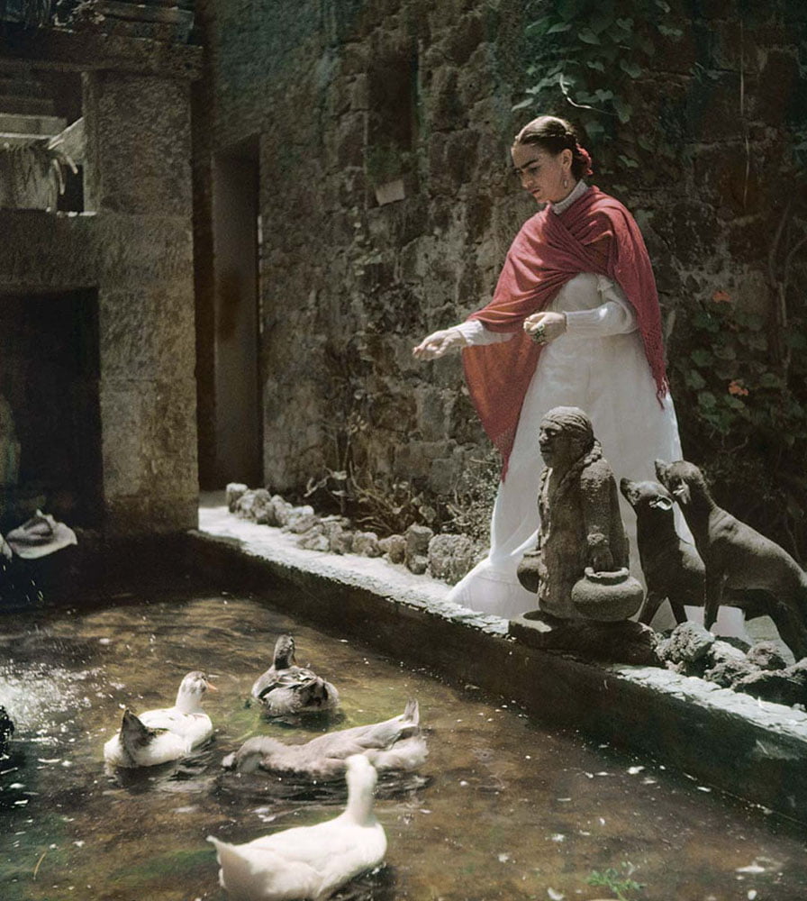 Mundialmente conocido como la “Casa Azul”, el Museo Frida Kahlo cumple 65 años de existencia en 2023. Fue el 30 de julio de 1958 cuando abrió sus puertas al público como una casa museo: el primer museo de este tipo inaugurado en la república mexicana.