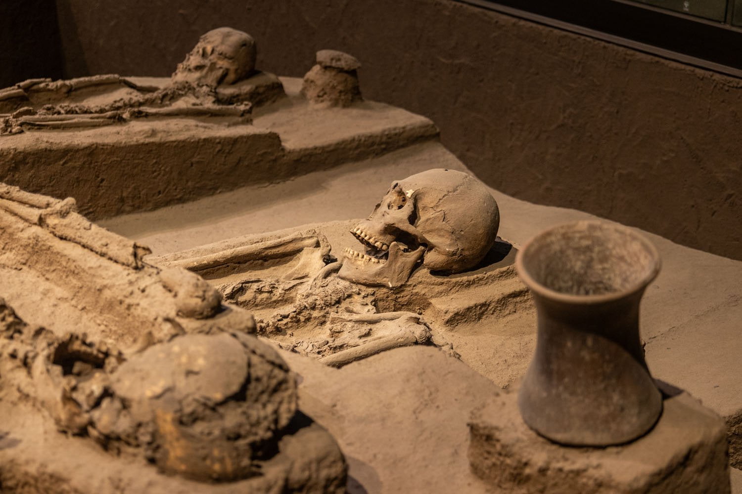 Entre los espacios museísticos más importantes de México se encuentra el Museo Nacional de Antropología, institución que forma parte del Instituto Nacional de Antropología e Historia. El origen de sus colecciones data del año de 1825 cuando el entonces emperador Agustín Iturbide lo crea como parte de las políticas de la nación mexicana.