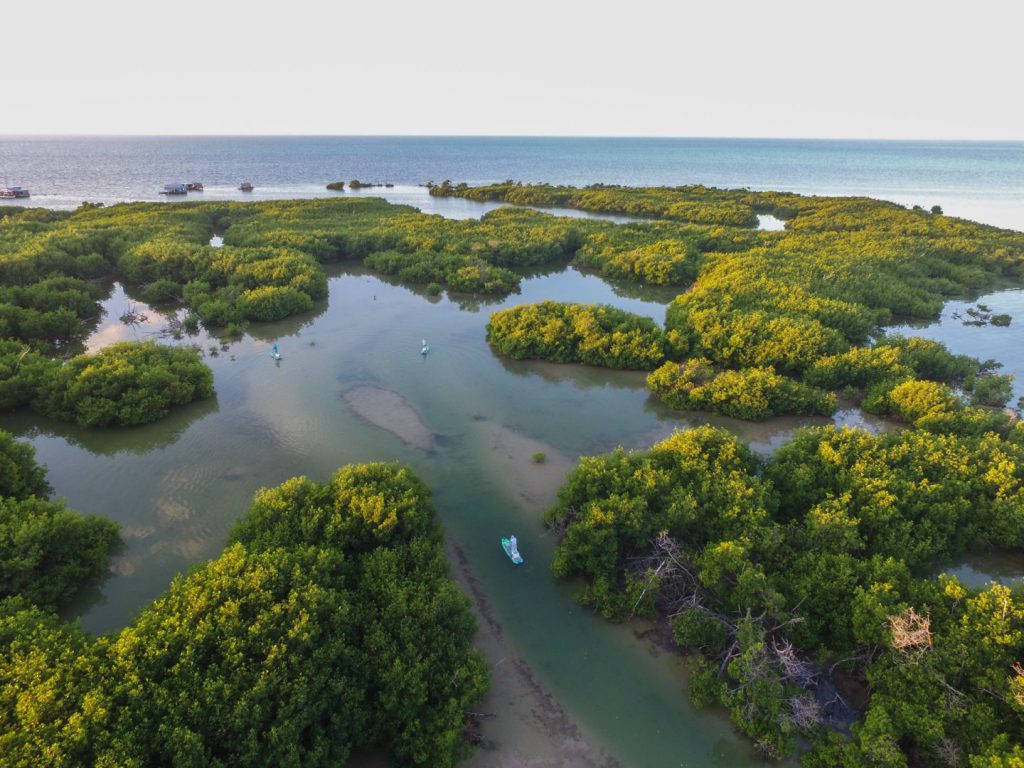 El Banco Chinchorro destaca por su biodiversidad y su importancia cultural; alberga distintos ecosistemas entre los que figuran pastos marinos, manglares, playas arenosas, arrecifes de coral y zonas de arenales, valiosos para los procesos de reproducción, crianza y desarrollo de especies de importancia ecológica y económica.