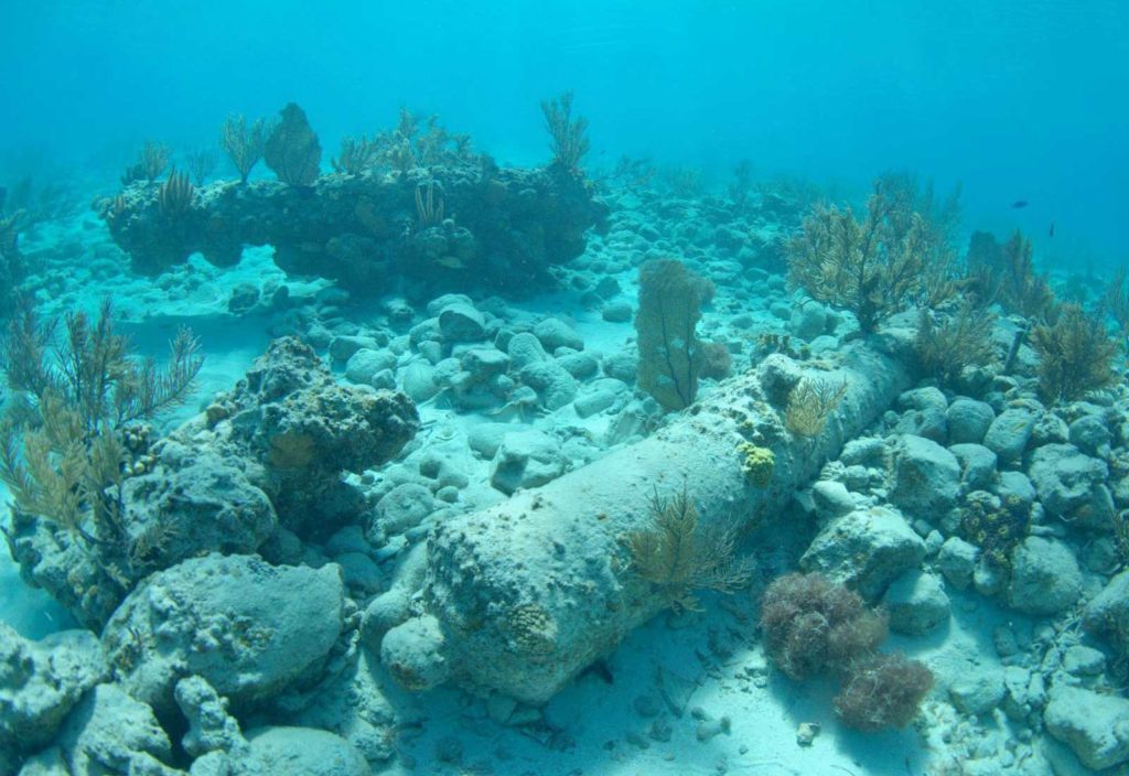 El Banco Chinchorro destaca por su biodiversidad y su importancia cultural; alberga distintos ecosistemas entre los que figuran pastos marinos, manglares, playas arenosas, arrecifes de coral y zonas de arenales, valiosos para los procesos de reproducción, crianza y desarrollo de especies de importancia ecológica y económica.
