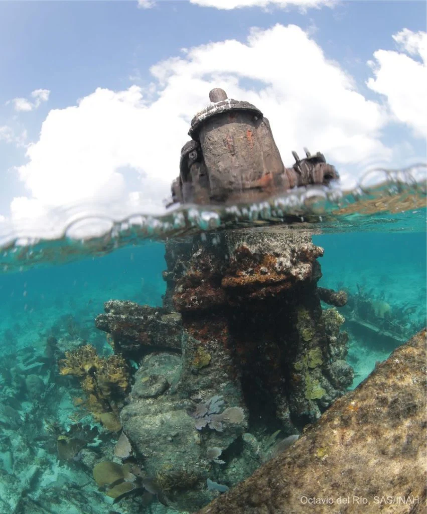 El Banco Chinchorro destaca por su biodiversidad y su importancia cultural; alberga distintos ecosistemas entre los que figuran pastos marinos, manglares, playas arenosas, arrecifes de coral y zonas de arenales, valiosos para los procesos de reproducción, crianza y desarrollo de especies de importancia ecológica y económica.