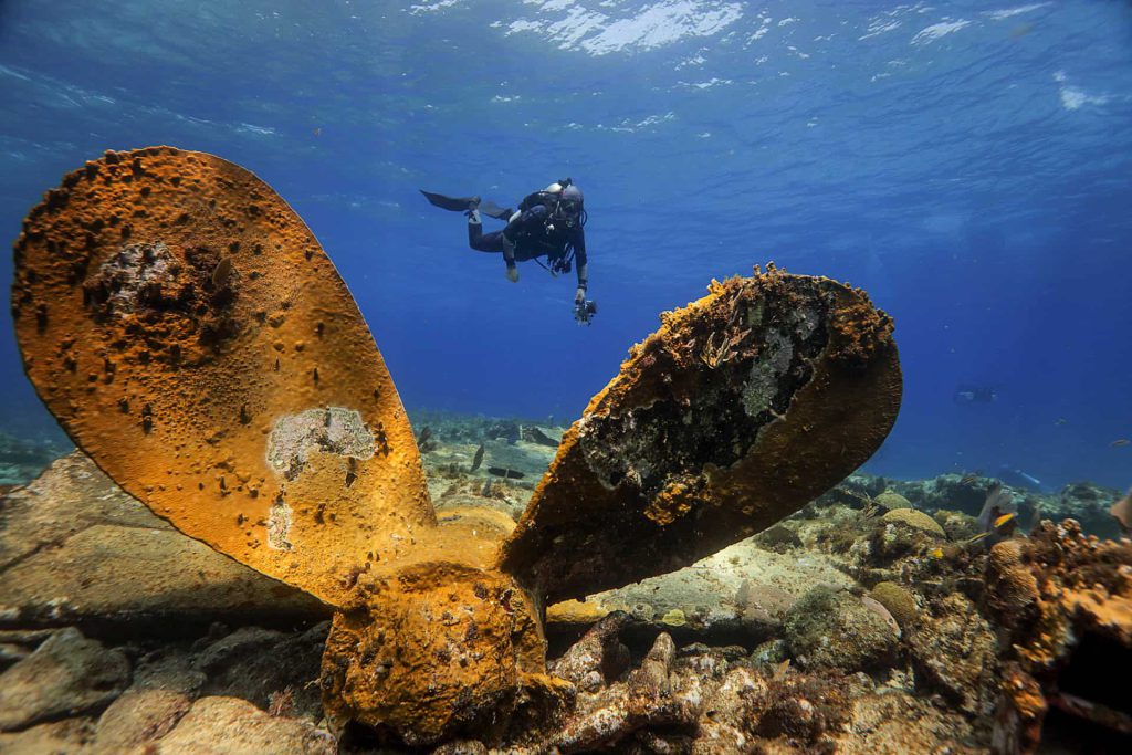 El Banco Chinchorro destaca por su biodiversidad y su importancia cultural; alberga distintos ecosistemas entre los que figuran pastos marinos, manglares, playas arenosas, arrecifes de coral y zonas de arenales, valiosos para los procesos de reproducción, crianza y desarrollo de especies de importancia ecológica y económica.