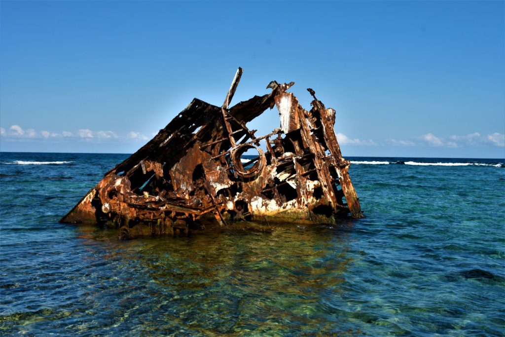 El Banco Chinchorro destaca por su biodiversidad y su importancia cultural; alberga distintos ecosistemas entre los que figuran pastos marinos, manglares, playas arenosas, arrecifes de coral y zonas de arenales, valiosos para los procesos de reproducción, crianza y desarrollo de especies de importancia ecológica y económica.