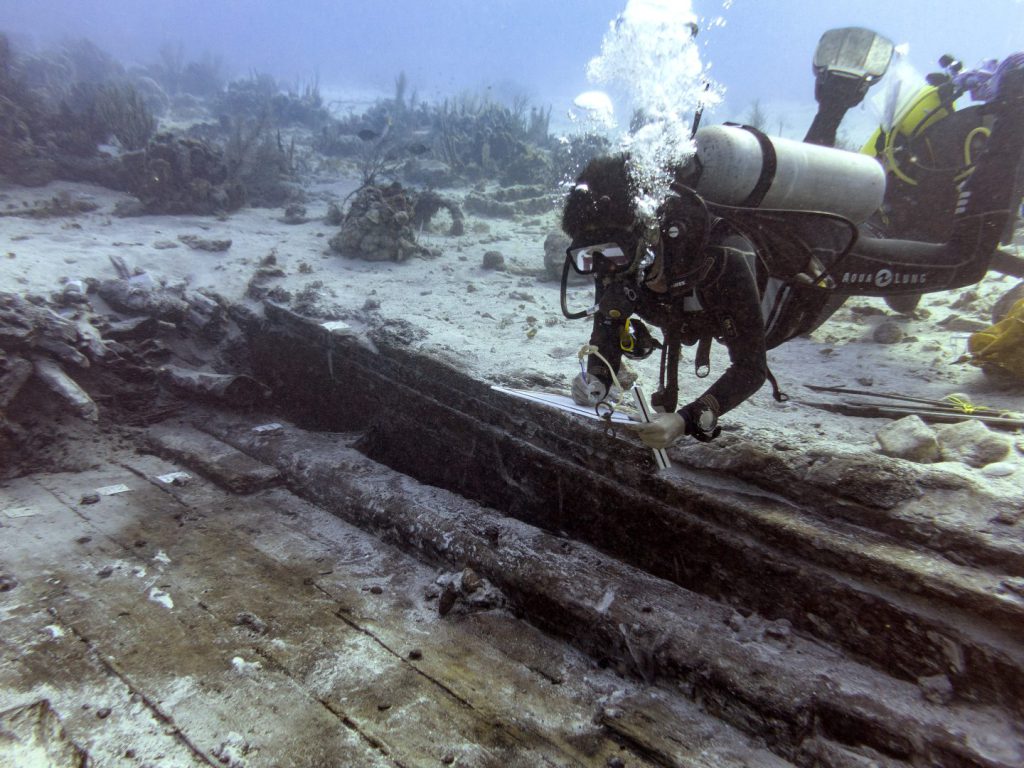 El Banco Chinchorro destaca por su biodiversidad y su importancia cultural; alberga distintos ecosistemas entre los que figuran pastos marinos, manglares, playas arenosas, arrecifes de coral y zonas de arenales, valiosos para los procesos de reproducción, crianza y desarrollo de especies de importancia ecológica y económica.