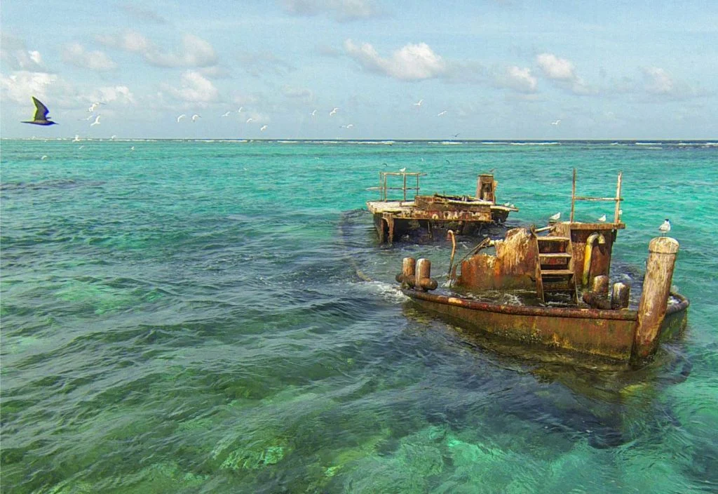 El Banco Chinchorro destaca por su biodiversidad y su importancia cultural; alberga distintos ecosistemas entre los que figuran pastos marinos, manglares, playas arenosas, arrecifes de coral y zonas de arenales, valiosos para los procesos de reproducción, crianza y desarrollo de especies de importancia ecológica y económica.