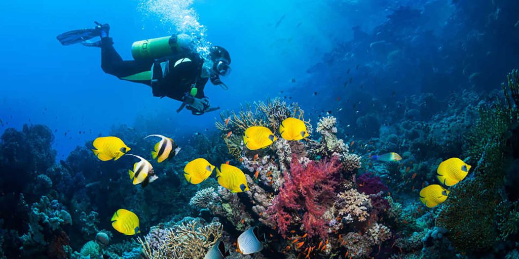 La actualidad de la mayor isla quintanarroense, pionera del turismo desde hace más de 70 años, es de gran importancia teniendo en consideración que —junto con Isla Mujeres, Benito Juárez (Cancún), Solidaridad (Playa del Carmen), Puerto Morelos, Lázaro Cárdenas (Holbox) y desde luego Tulum— se forma una verdadera constelación de siete fulgurantes estrellas turísticas que ofrecen una gran variedad de opciones para todos los gustos.