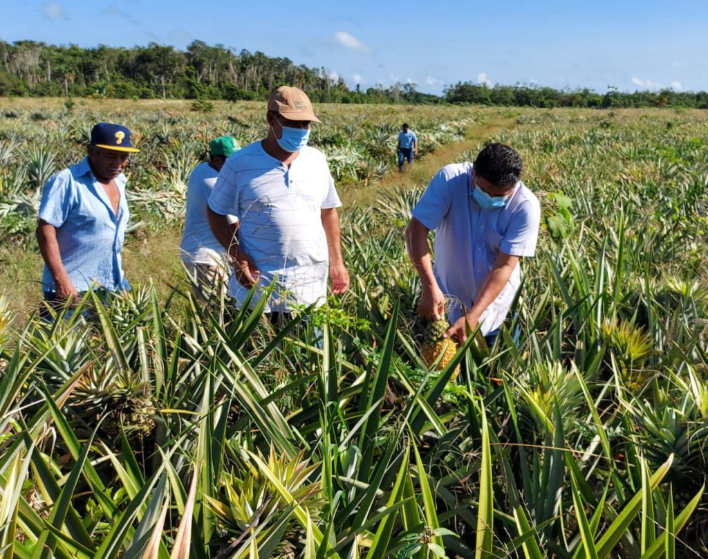 La economía de Quintana Roo gira en torno al turismo, pero también destaca la construcción, el turismo médico, los festivales y el turismo rural, generando empleo e ingresos más allá del sol y playa.